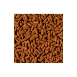 Tropical Cichlid&Arowana Large Sticks maistas žuvims 1000 ml