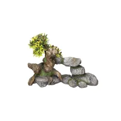 Nobby Bonsai dekoracija akvariumui, 19 × 9 × 13 cm | AKVANAMAI