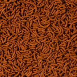 Tropical Cichlid & Arowana Medium Sticks pašaras | AKVANAMAI
