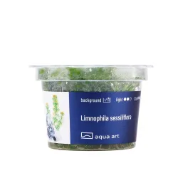 Aqua Art Limnophila sessiliflora akvariumo augalas | AKVANAMAI