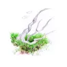 Aqua Art Eleocharis parvula 'Mini' akvariumo augalas | AKVANAMAI