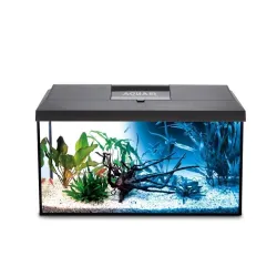 AQUAEL Leddy Day&Night 75 akvariumo komplektas, 105 l | AKVANAMAI