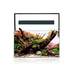 AQUAEL UltraScape 60 Forest Set akvariumo | AKVANAMAI