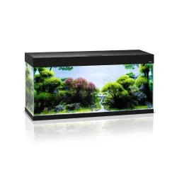 AQUAEL Opti Set 240 akvariumas, juodas, 240 l, 121 × | AKVANAMAI