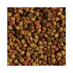 Pašaras šeškams Tropifit Ferret, 2x400 g
