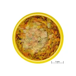 ProNovo Betta Flakes S pašaras Betta žuvims (gaideliams) 100 ml