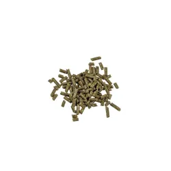 Pašaras krevetėms Dr. Bassleer Biofish Food Shrimp Sticks, 60 g