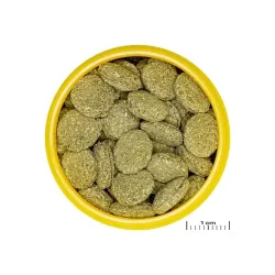 JBL ProNovo Pleco Wafer M pašaras žuvims 250 ml
