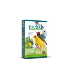 Padovan MelodyMix sėklų mišinys paukščiams, 300 g | AKVANAMAI