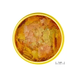 ProNovo Color Flakes M universalus pašaras žuvims 100 ml