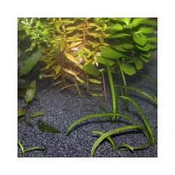 JBL gruntas Sansibar Black 10 kg (0, 2-0, 5 mm) | AKVANAMAI