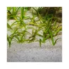 JBL gruntas Sansibar River 10 kg (0, 8 mm) | AKVANAMAI