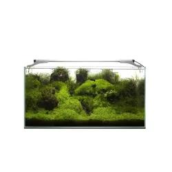 Leddy Slim Plant, 36 W, 100-127 cm, baltas