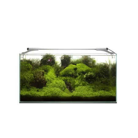 Leddy Slim Plant, 36 W, 100-127 cm, baltas