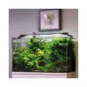 Leddy Slim Plant, 36 W, 100-127 cm, baltas