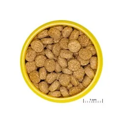 JBL ProNovo Crabs Wafer M pašaras krabams ir krevetėms 250 ml