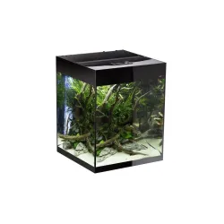 Glossy 50 ST Day&Night akvariumas CUBE stačiakampis, juodas, 50x50x63 cm