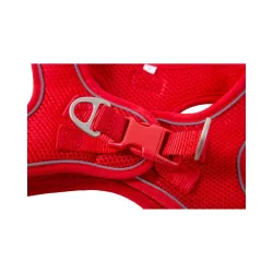 Petnešos Soft, vyšninės, M, 40-45 cm