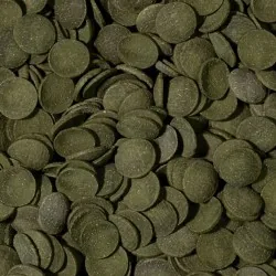 Tropical Green Algae Wafers pašaras dugninėms žuvims | AKVANAMAI