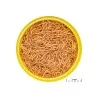 ProNovo Betta Insect Stick S pašaras Betta žuvims (gaideliams) 100 ml