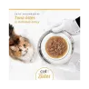 Catit Cuisine Bites konservai katėms su tunu, 75 g