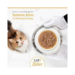 Catit Cuisine Bites konservai katėms su lašiša, 75 g