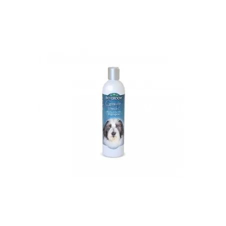 Bio-Groom šampūnas Groom'n Fresh 355ml | AKVANAMAI