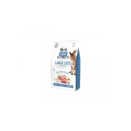 Brit Care Cat GF Large cats Power&Vitality sausas | AKVANAMAI