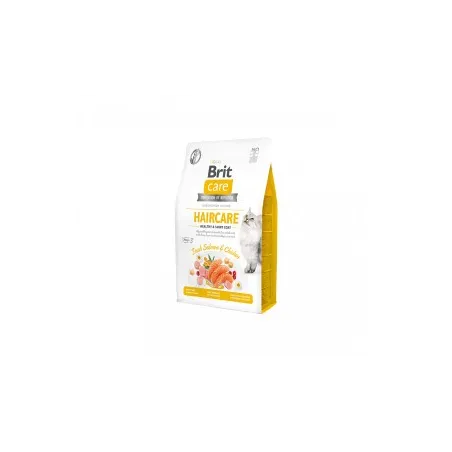 Brit Care Cat GF Haircare Healthy&Shiny Coat sausas | AKVANAMAI