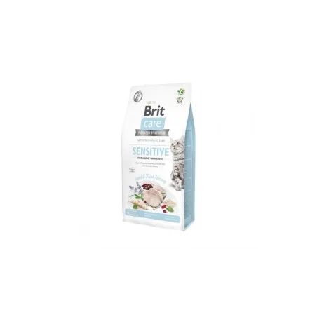 Brit Care Cat GF Insect&Fresh Herring sausas pašaras | AKVANAMAI