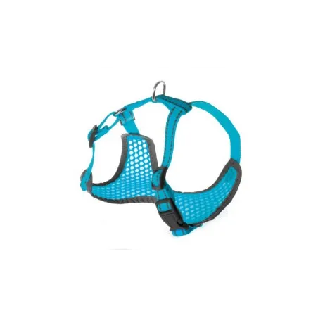 Petnešos Pettorine 42-50 × 47-65cm | AKVANAMAI