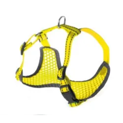 Petnešos Pettorine 36-45 × 38-52cm | AKVANAMAI