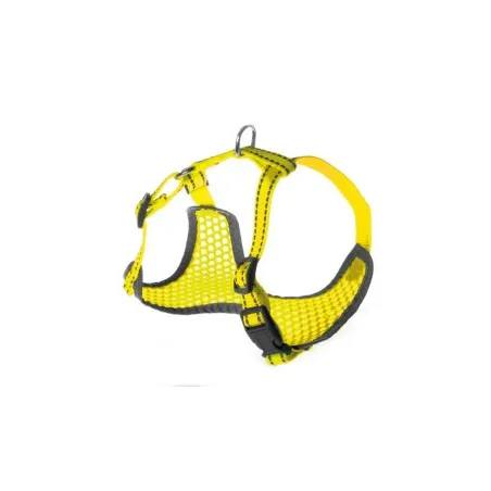 Petnešos Pettorine 36-45 × 38-52cm | AKVANAMAI