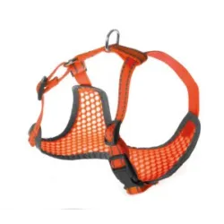 Petnešos Pettorine 32-40 × 32-45cm | AKVANAMAI