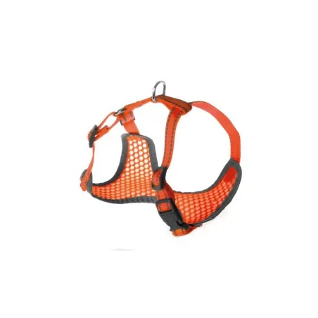 Petnešos Pettorine 32-40 × 32-45cm | AKVANAMAI