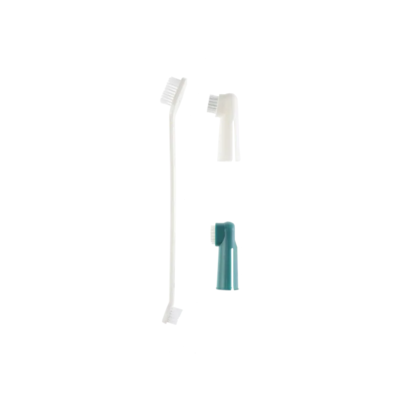 Gimdog Tooth Brushes Set šunų dantų šepetėlių rink. | AKVANAMAI