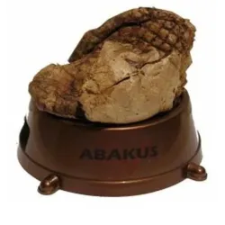 Kiaulės plaučiai 100g