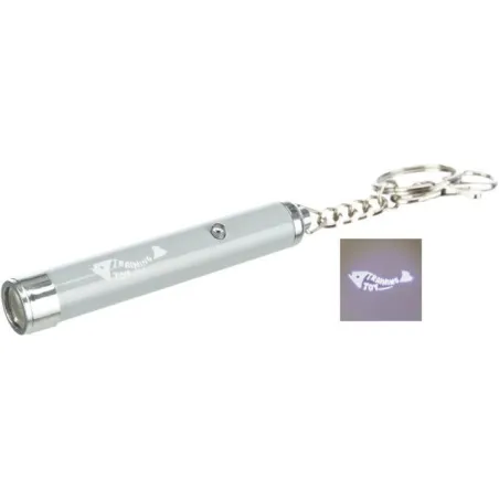Trixie LED pointer Catch the Light, 8 cm, pilka | AKVANAMAI