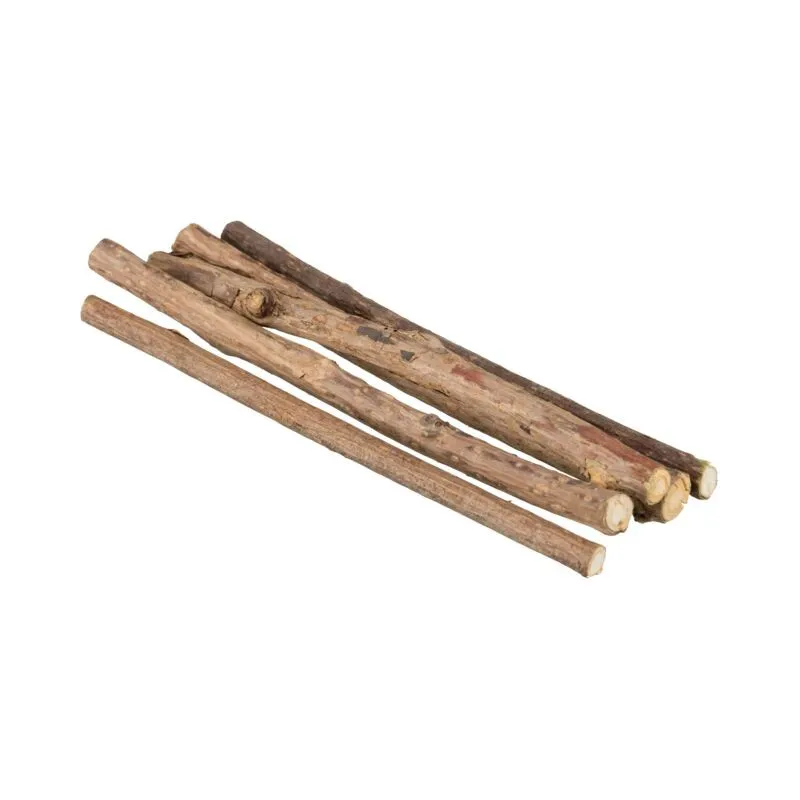 Trixie Matatabi kramtymo pagaliukai, 10 g | AKVANAMAI
