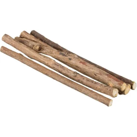 Trixie Matatabi kramtymo pagaliukai, 10 g | AKVANAMAI