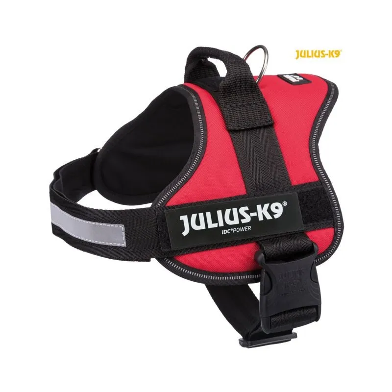 Julius K9® Petnešos, XL/2 71–96 cm/50 mm, raudonos | AKVANAMAI