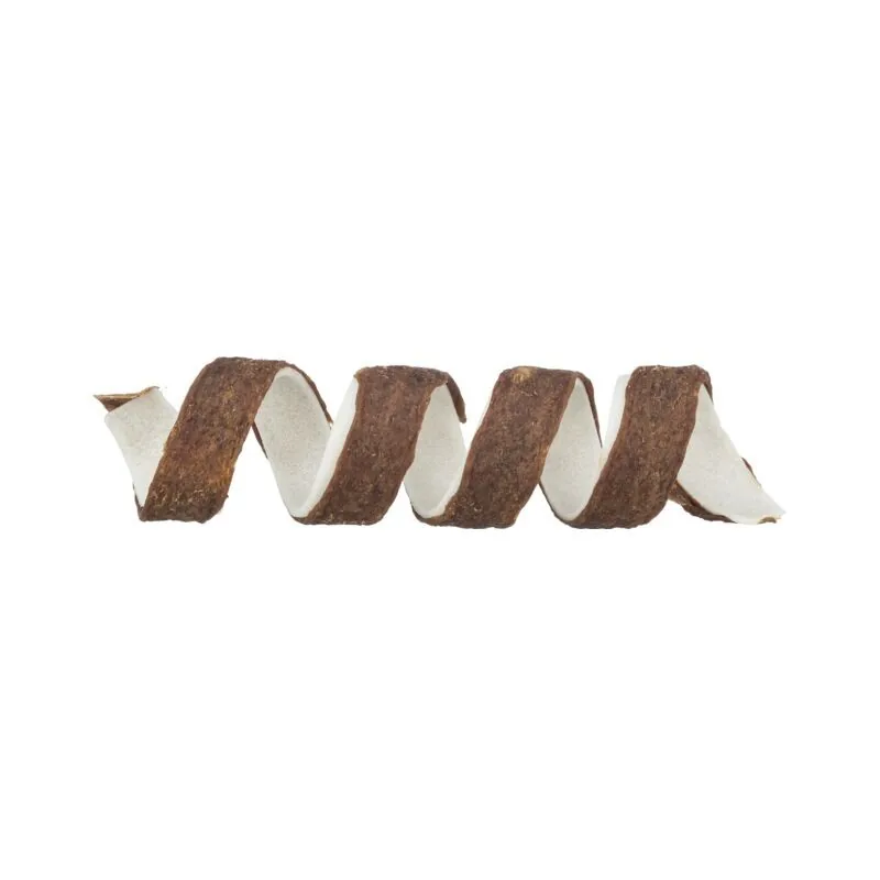 Trixie skanėstas šuniui Denta Fun Chewing Curl su | AKVANAMAI