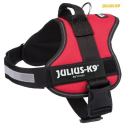 K9 Petnešos šuniui 2XL/3: 82–116 cm/50 mm, raudona | AKVANAMAI