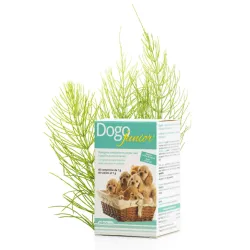 DOGOTEKA DOGOjunior 60 tabl. | AKVANAMAI