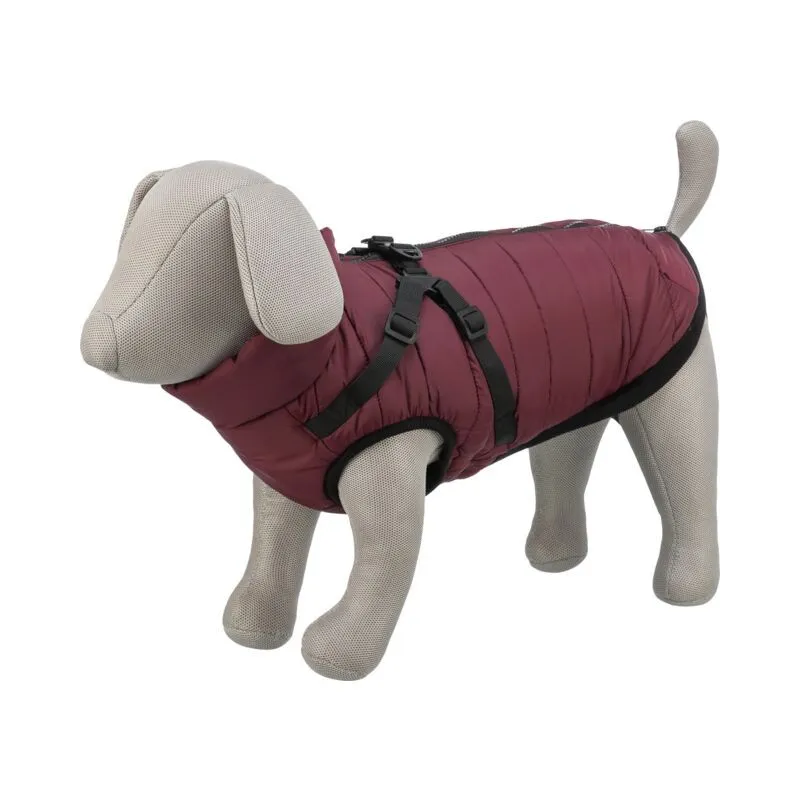 Trixie Pirou žieminė striukė su petnešom, S: 40 cm | AKVANAMAI