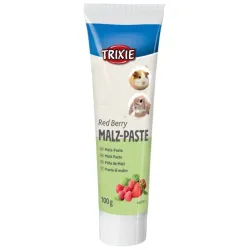 TRIXIE Salyklo pasta su uogomis graužikams, 100 g | AKVANAMAI