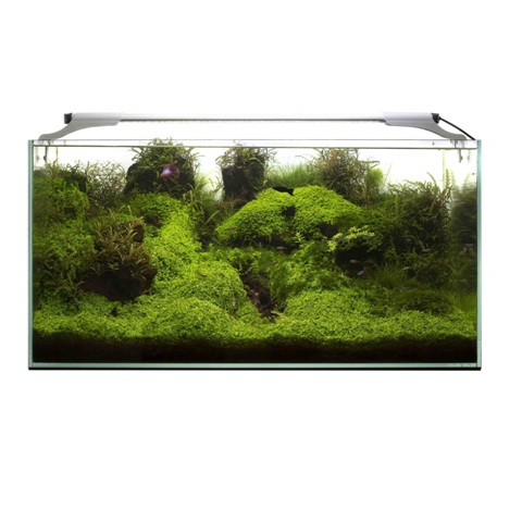 LED apšvietimas atviram akvariumui