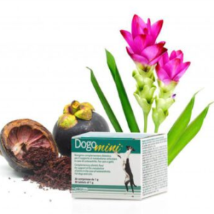DOGOTEKA DOGOmini 30 tabl.