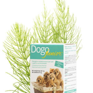DOGOTEKA DOGOjunior 60 tabl.