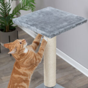 Trixie Baena draskyklė stulpas, 69 cm, pilka